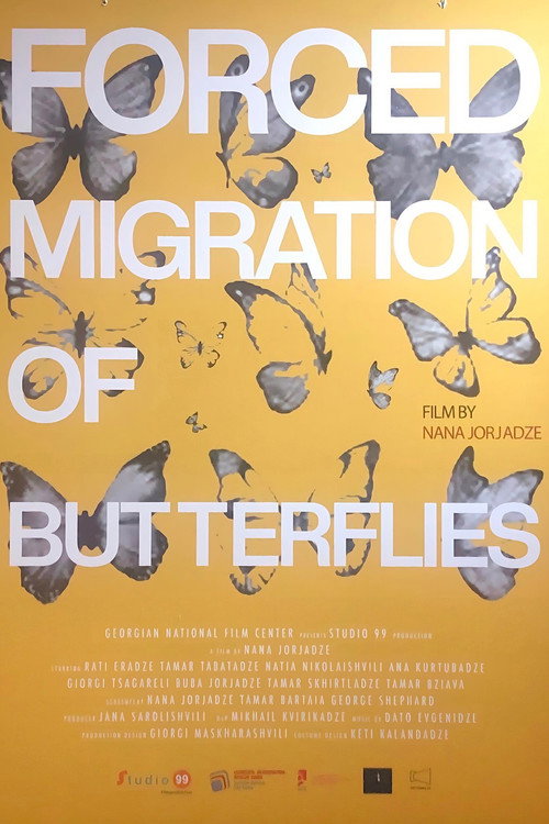 Forced Migration of Butterflies poster 2
