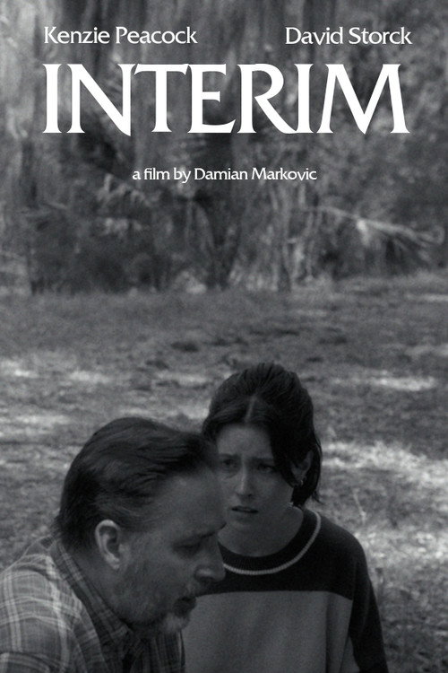 Interim电影海报