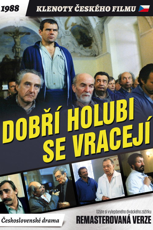 Dobří holubi se vracejí poster 3