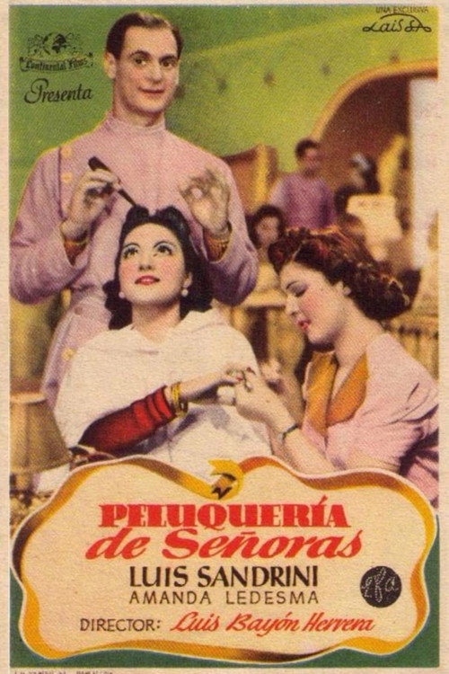 Peluquería de señoras poster 4
