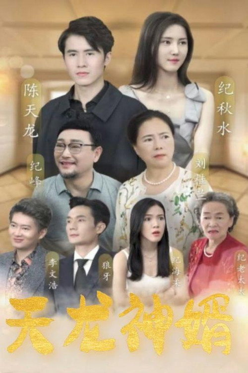 天龙神婿电影海报