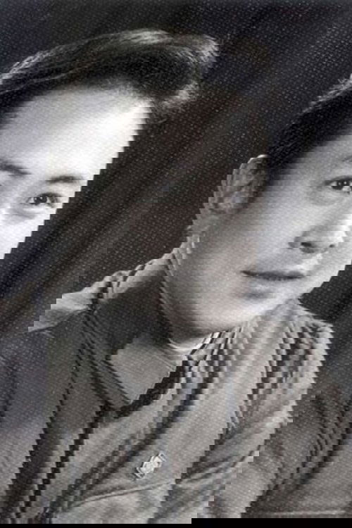 Poster of Li Shixi