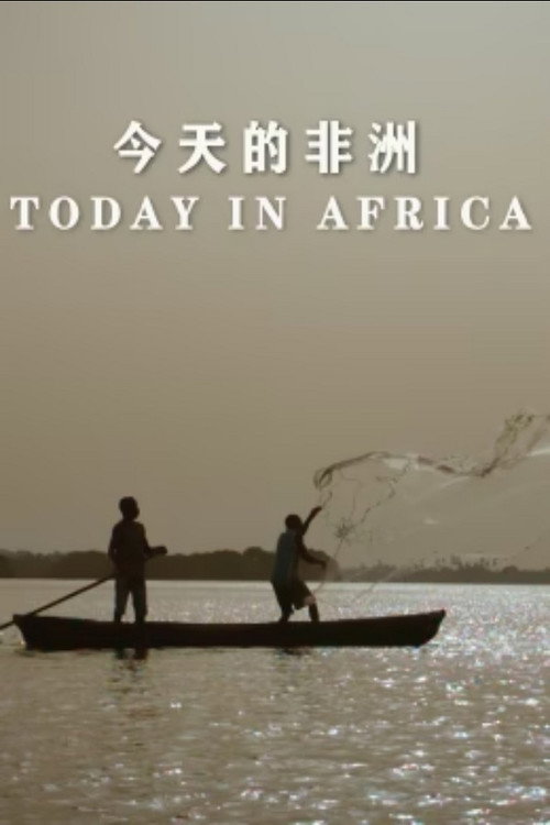 今天的非洲电影海报