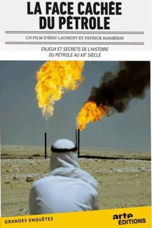 La face cachée du pétrole电影海报