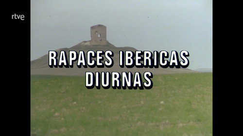 Iberian Diurnal Raptors