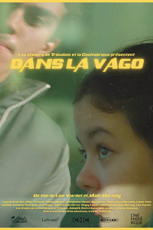 Dans la vago's poster