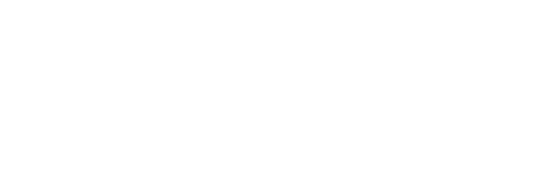 PLAYING WITH FIRE Logo