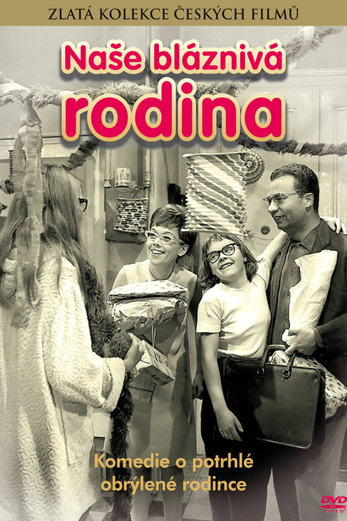 Naše bláznivá rodina poster 3