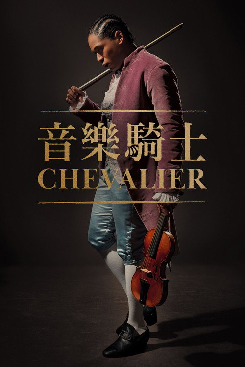 爱乐骑士电影海报