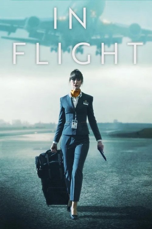 In Flight Poster