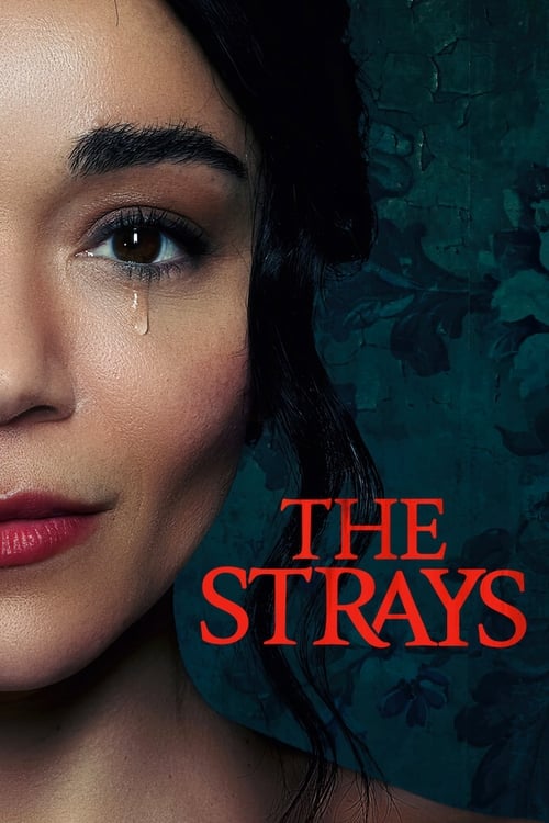 Movie poster for The Strays