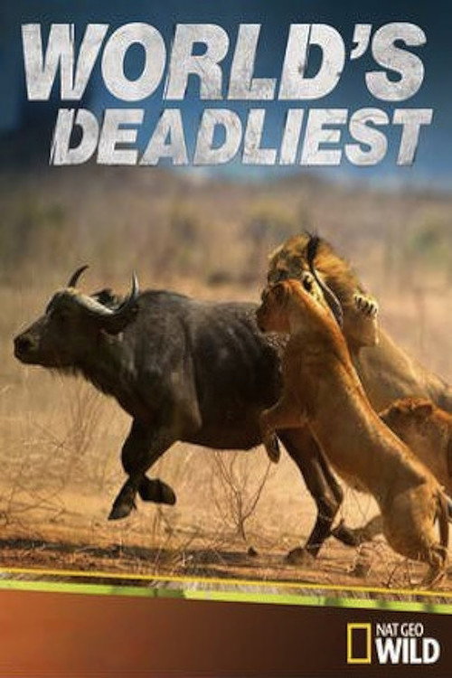 World's Deadliest Killers电影海报