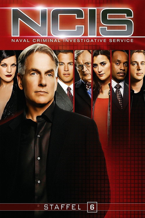 Staffel 6