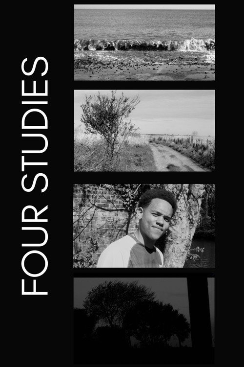 Four Studies电影海报