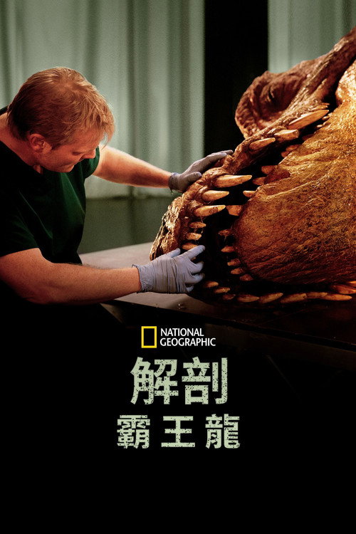 T. Rex Autopsy电影海报