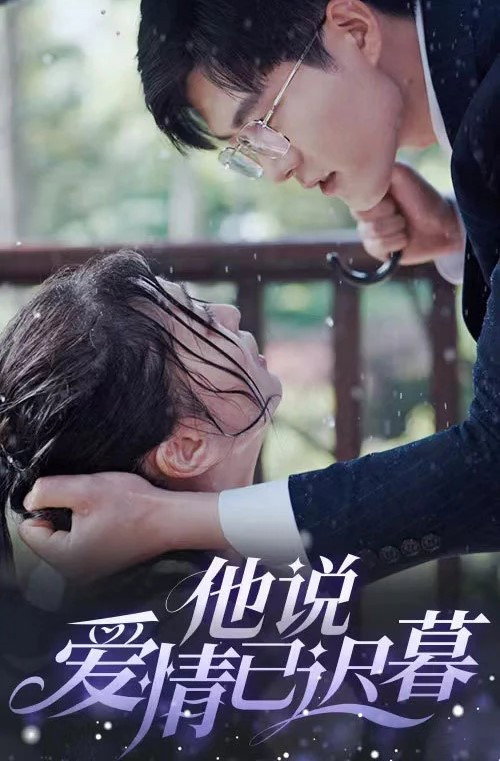 他说爱情已迟暮电影海报
