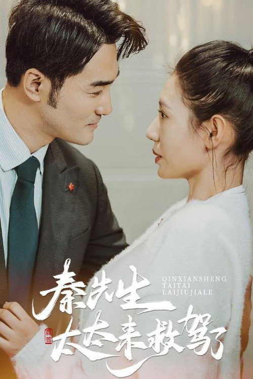 秦先生太太来救驾了电影海报