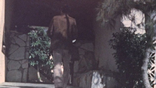 Around the World with John 'The Wadd' Holmes (1975) PHIM ĐẦY ĐỦ [VIETSUB]