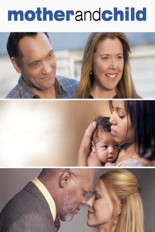 Mother and Child (2009) หนังเต็มออนไลน์