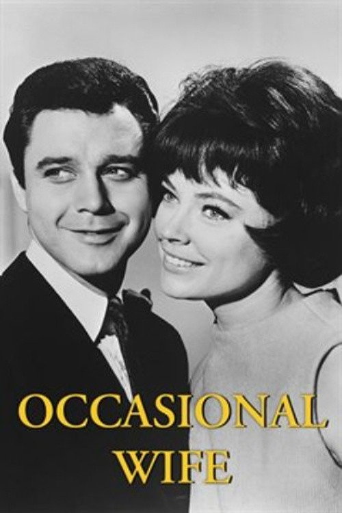 Occasional Wife poster 2