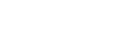 FURIOUS Logo