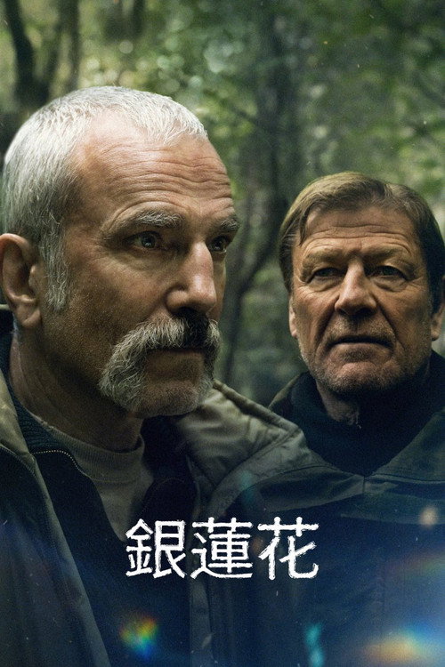 银莲花电影海报
