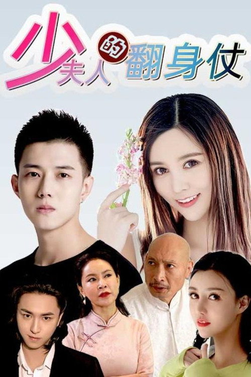 少夫人的翻身仗电影海报