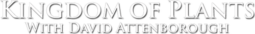 movies