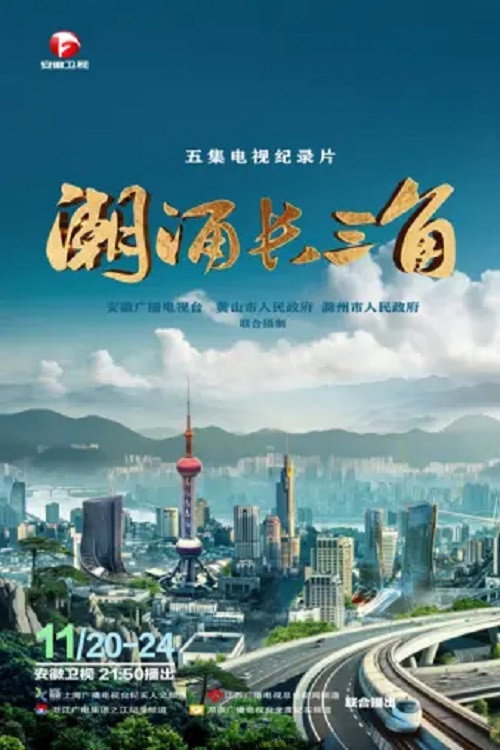 潮涌长三角电影海报