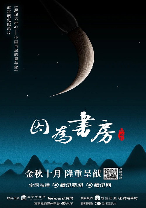 因为书房电影海报
