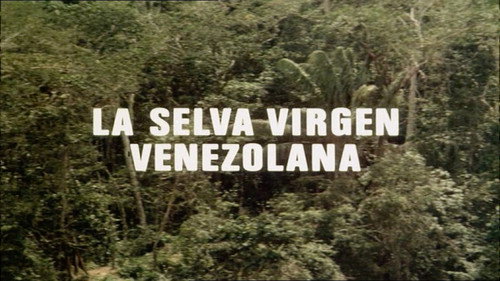 The Venezuelan Virgin Jungle