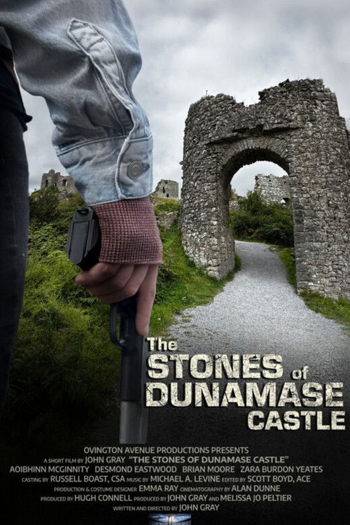 The Stones of Dunamase Castle Poster