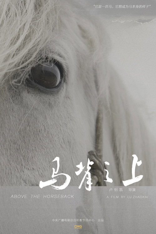 马背之上电影海报
