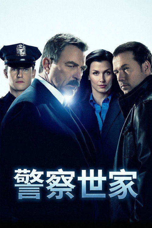 警察世家电影海报