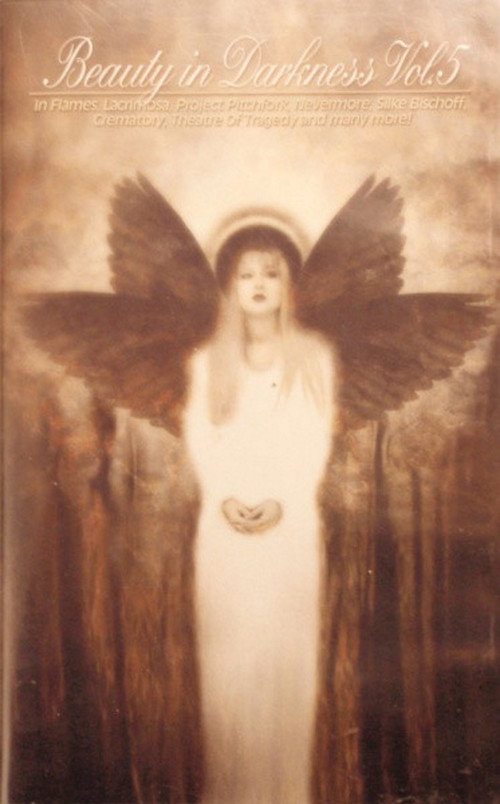 Beauty In Darkness Vol. 5电影海报