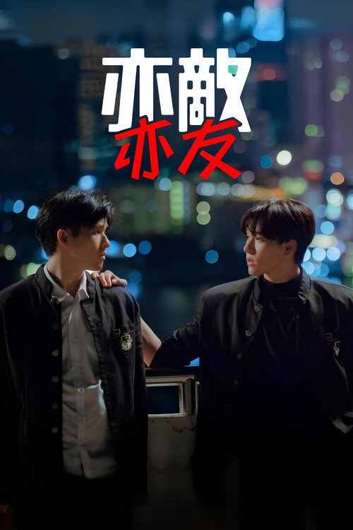 亦敌亦友电影海报