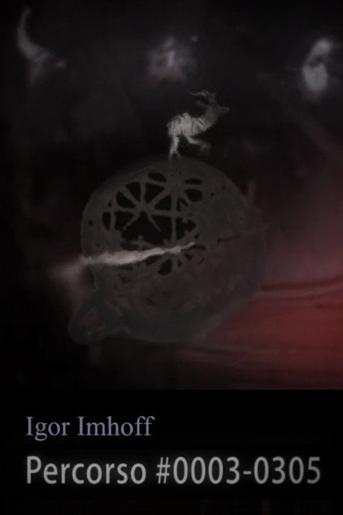 Percorso#0003-0305's poster
