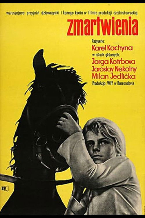 Trápení (1962) Filmes Completos Gratis