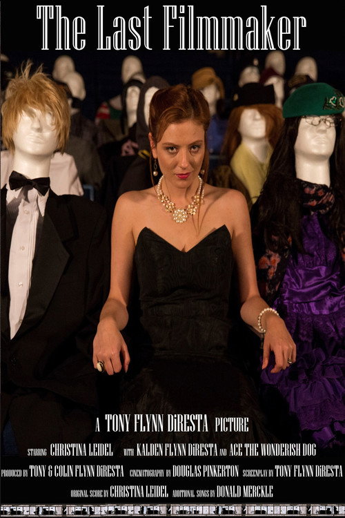 The Last Filmmaker Poster