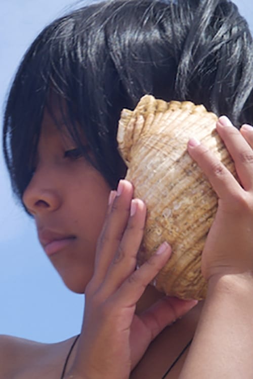 Time+and+the+Seashell