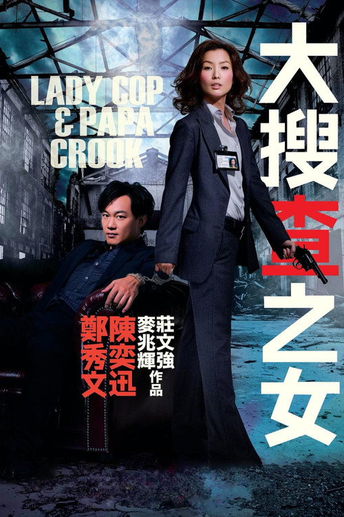 大搜查之女电影海报