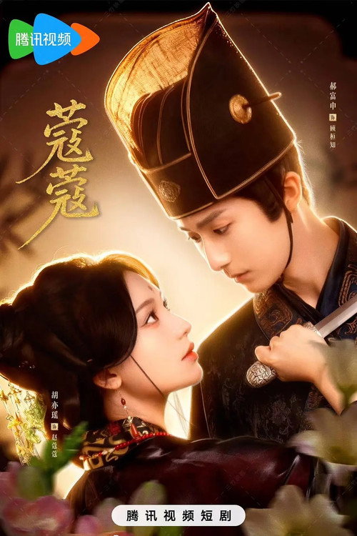 第 1 季