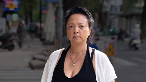 Missing Pieces - Sue-Yen Luiten