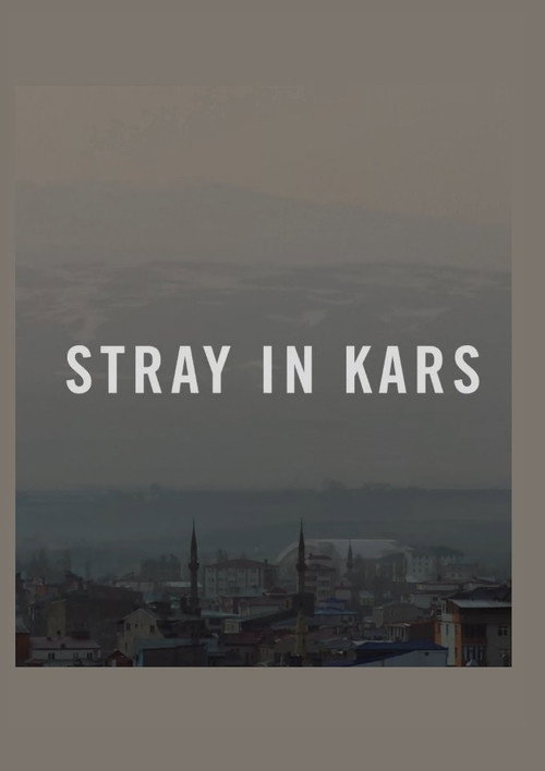 Stray in Kars poster 1