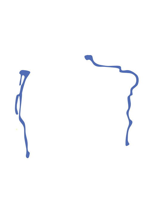 social justice whatever Poster