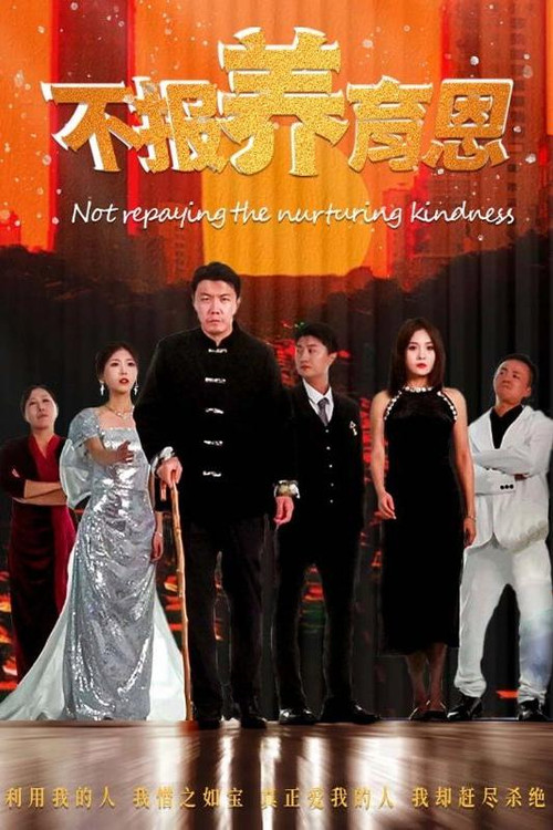 不报养育恩电影海报