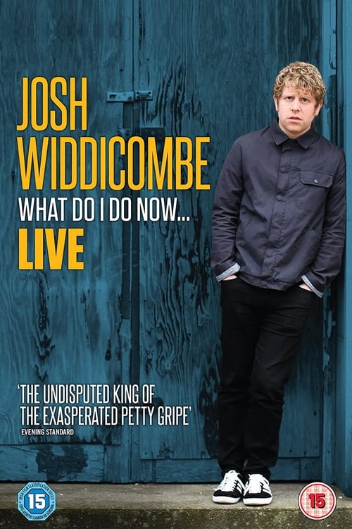 Josh Widdicombe: What Do I Do Now... Poster