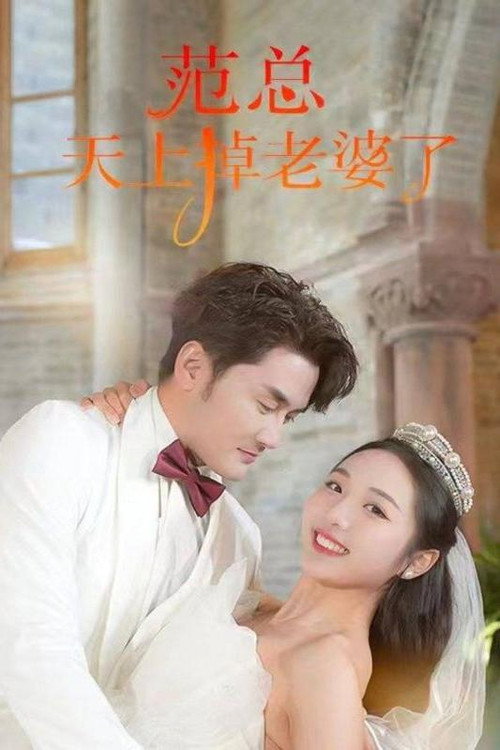 范总天上掉老婆了电影海报