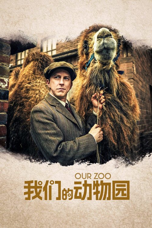 我们的动物园电影海报