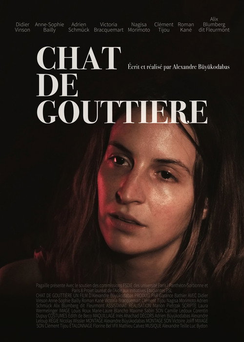 Chat de gouttière poster 3